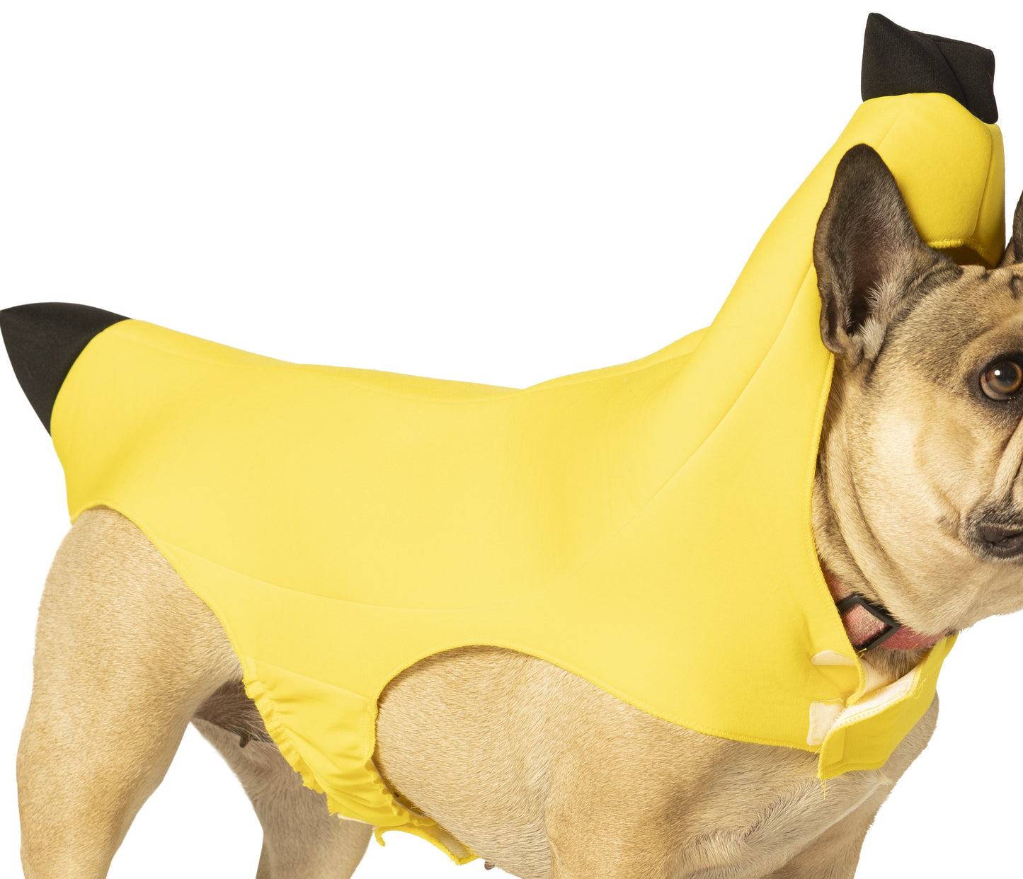 Banana Dog Pet Costume, Various Sizes