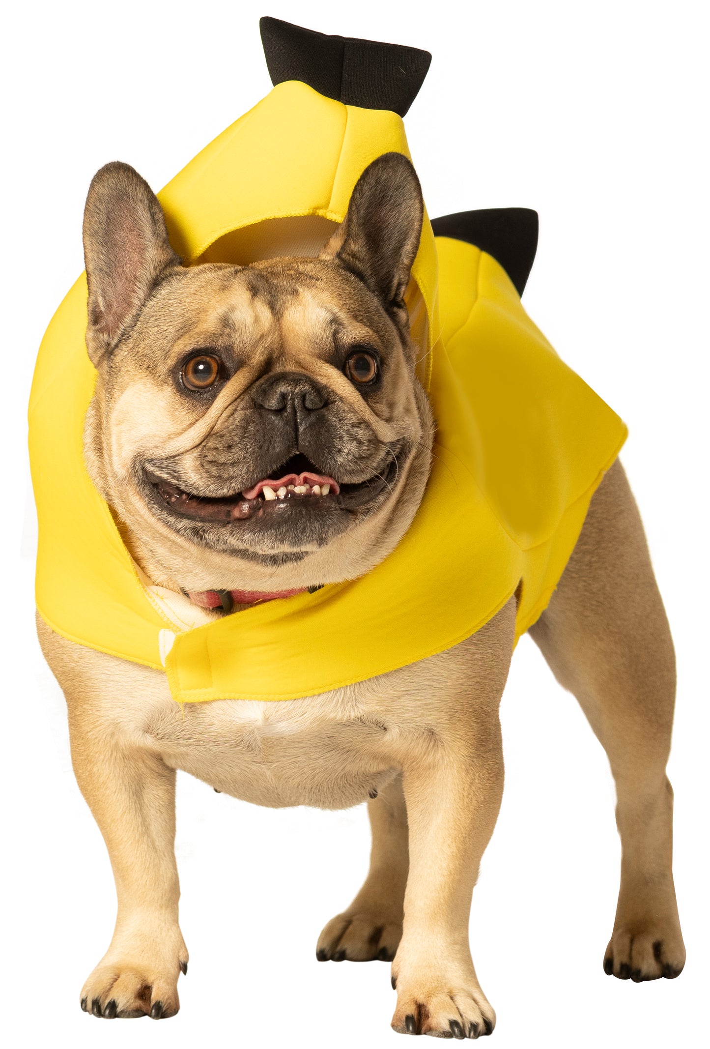 Banana Dog Pet Costume, Various Sizes