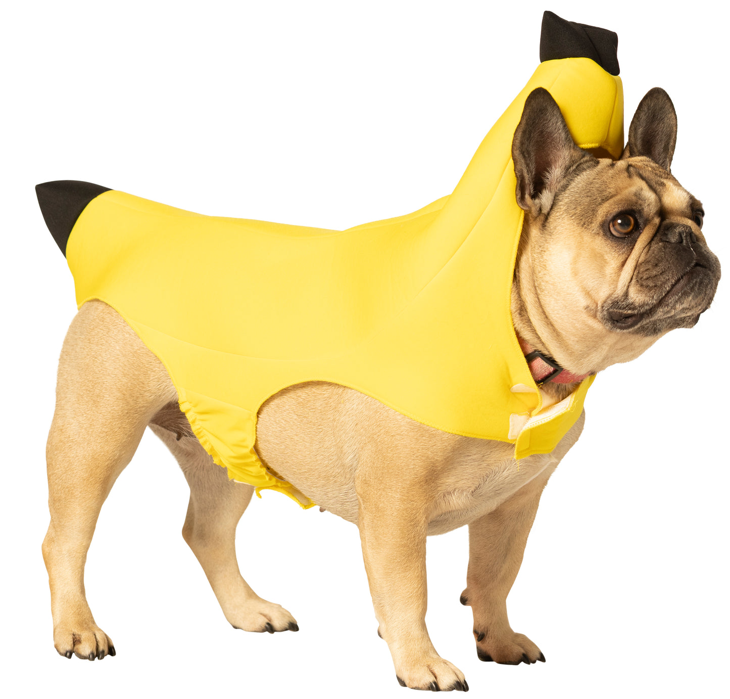 Banana Dog Pet Costume, Various Sizes