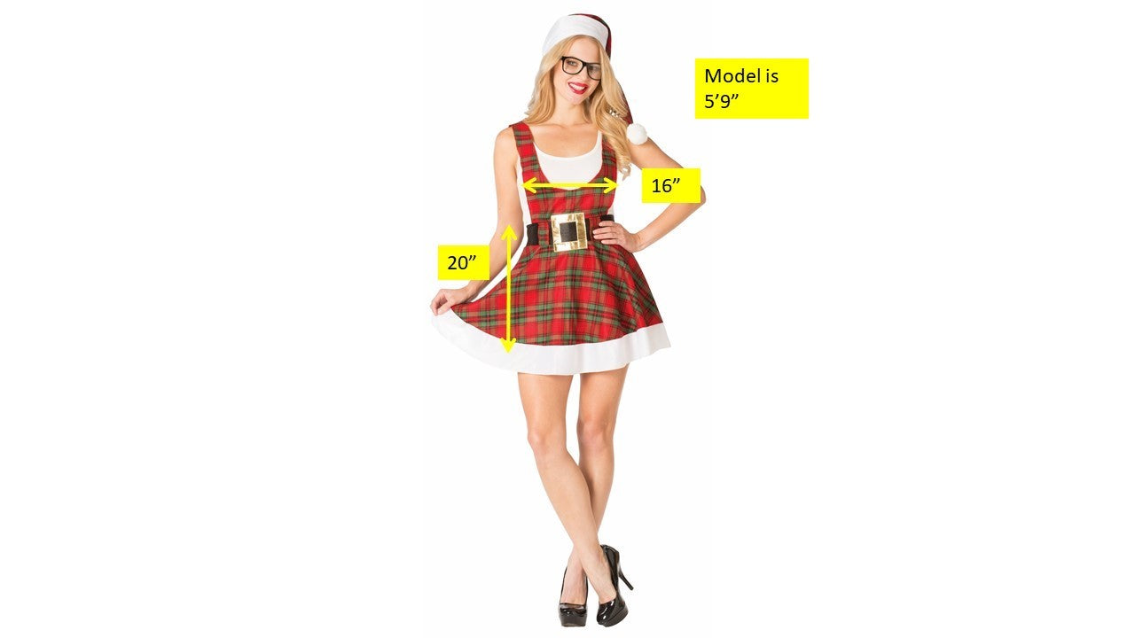 Hipster Ms. Claus, Adult One Size