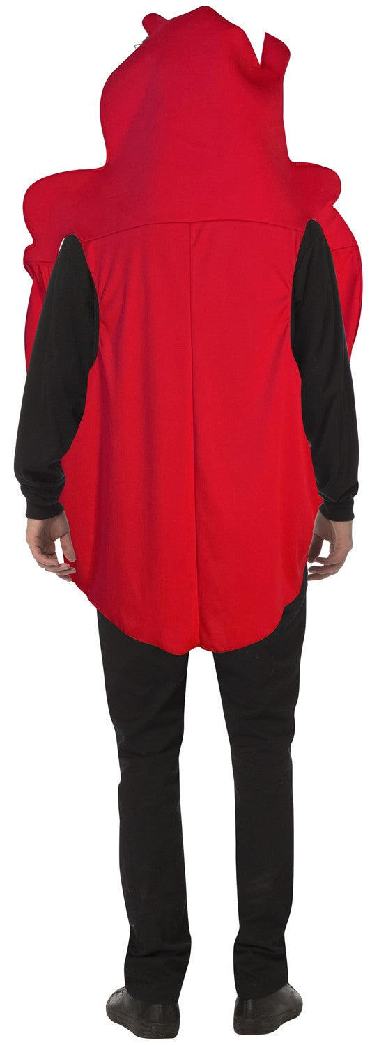 Heart Costume, Adult One Size