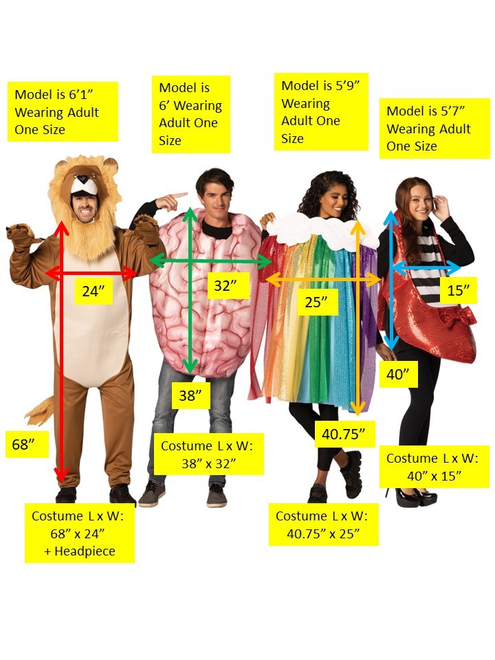 Brain, Colorful Rainbow, Lion & Ruby Slipper Group Costume, Adult One Size