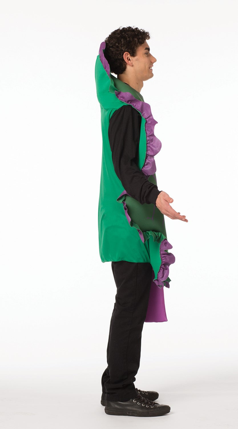 Kale Lettuce Costume, Adult One Size