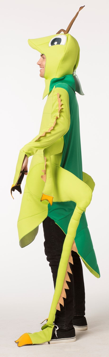 Green Grasshopper Costume, Adult One Size
