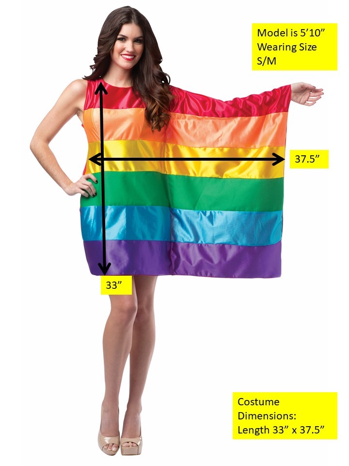 Rainbow Flag Pride Dress Costume, Women's Size 4-8
