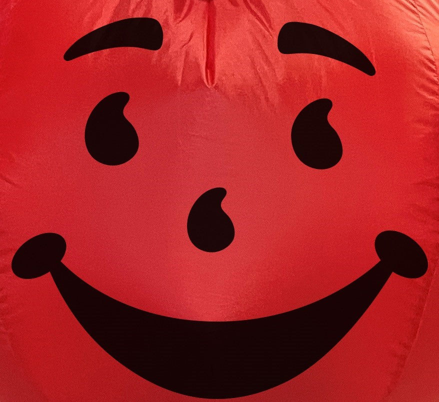 INFLATABLE Kool Aid Guys Kids Halloween Costume, Child Size 7-10