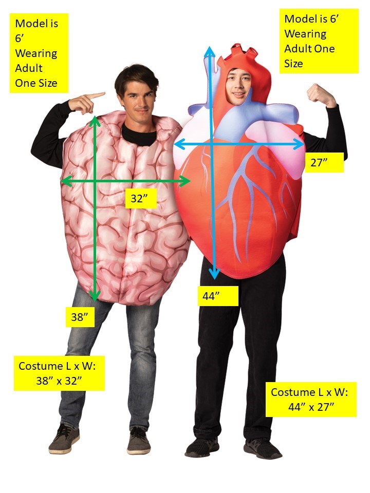 Heart & Brain Couple Halloween Costume, Adult One Size