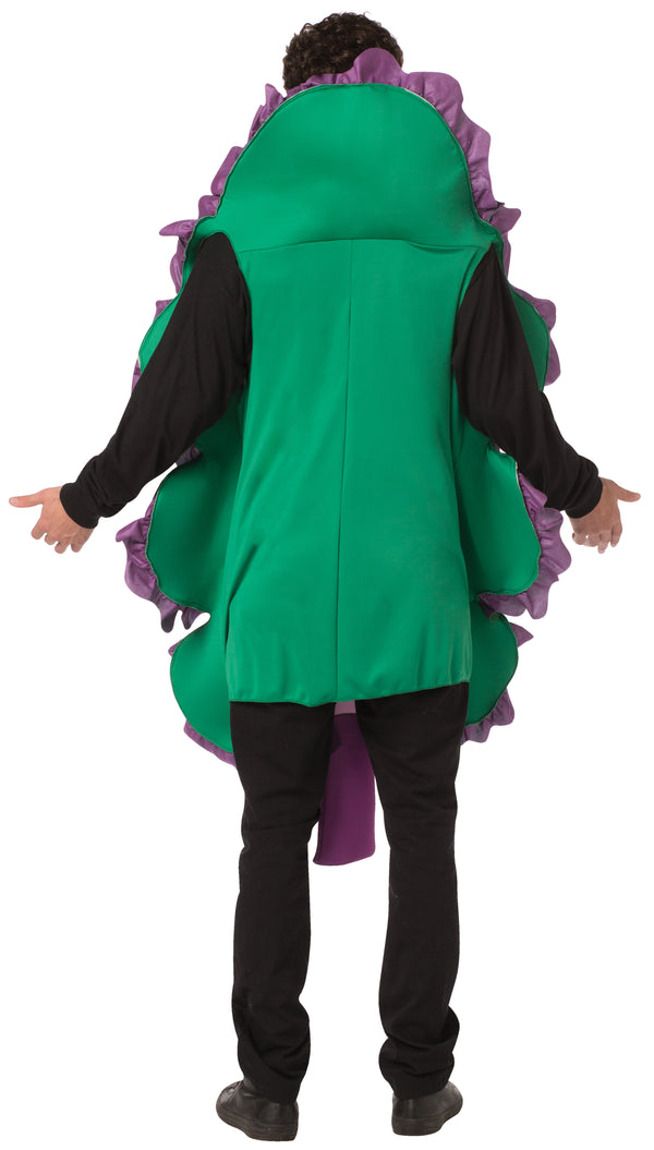 Carrot and Kale Lettuce Couples Costume, Adult One Size