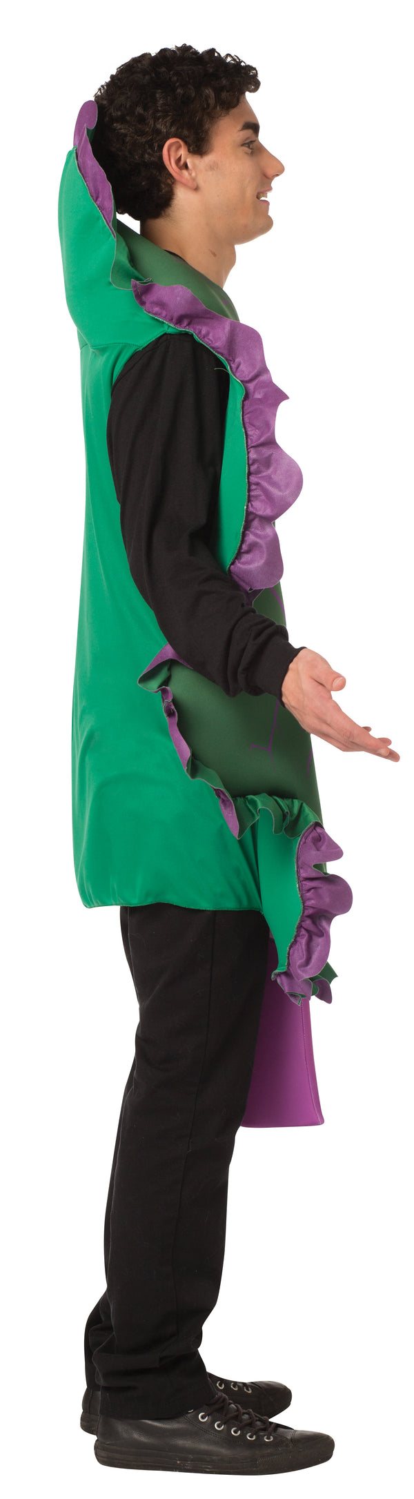 Carrot and Kale Lettuce Couples Costume, Adult One Size