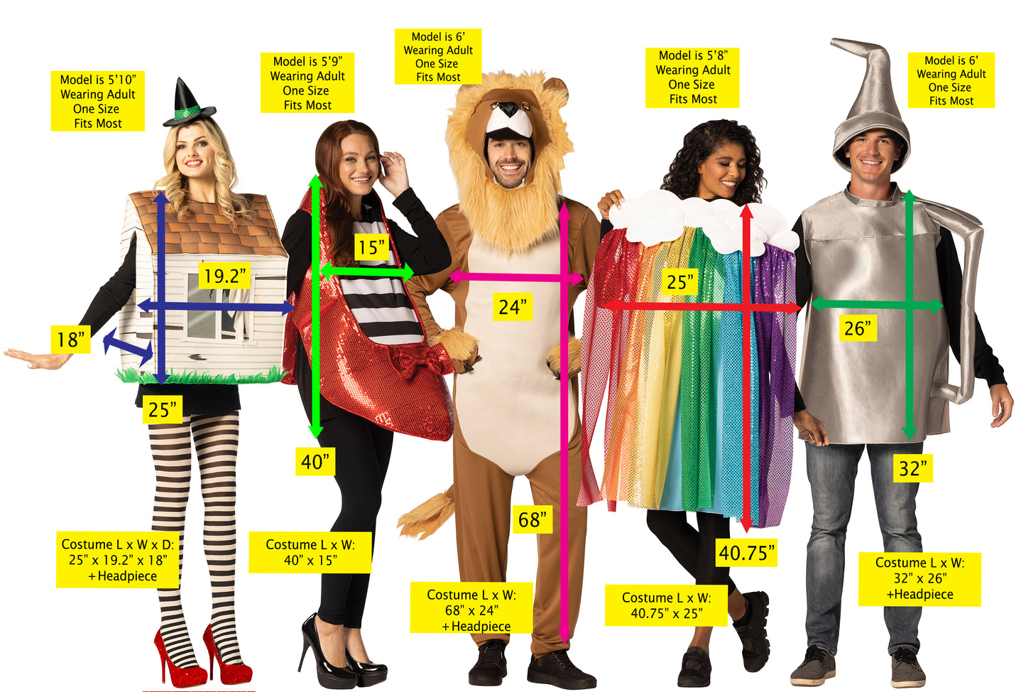 Tornado House, Lion, Rainbow with Cloud, Oil Can, & Ruby Shoe Group Costume, One Size Fits Most Adults