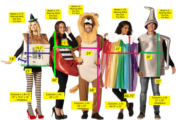 Tornado House, Lion, Rainbow with Cloud, Oil Can, & Ruby Shoe Group Costume, One Size Fits Most Adults