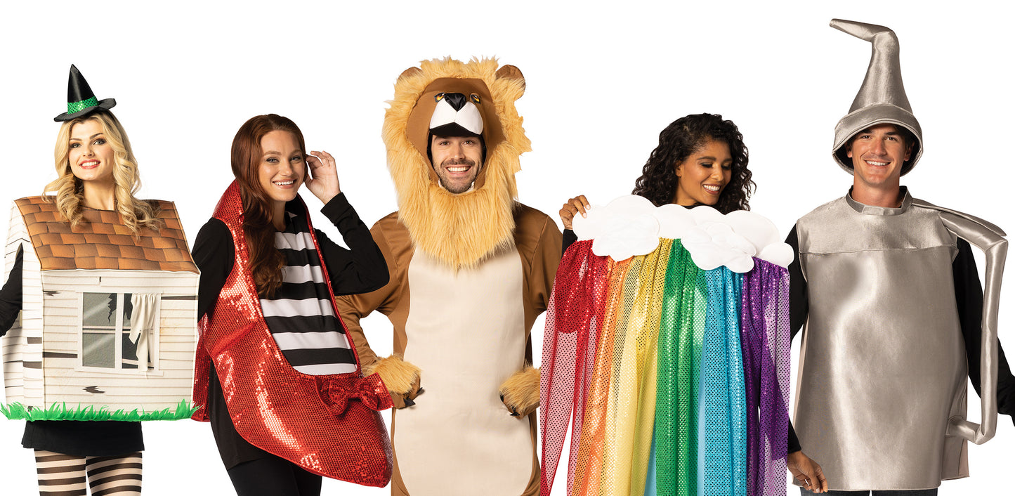 Tornado House, Lion, Rainbow with Cloud, Oil Can, & Ruby Shoe Group Costume, One Size Fits Most Adults