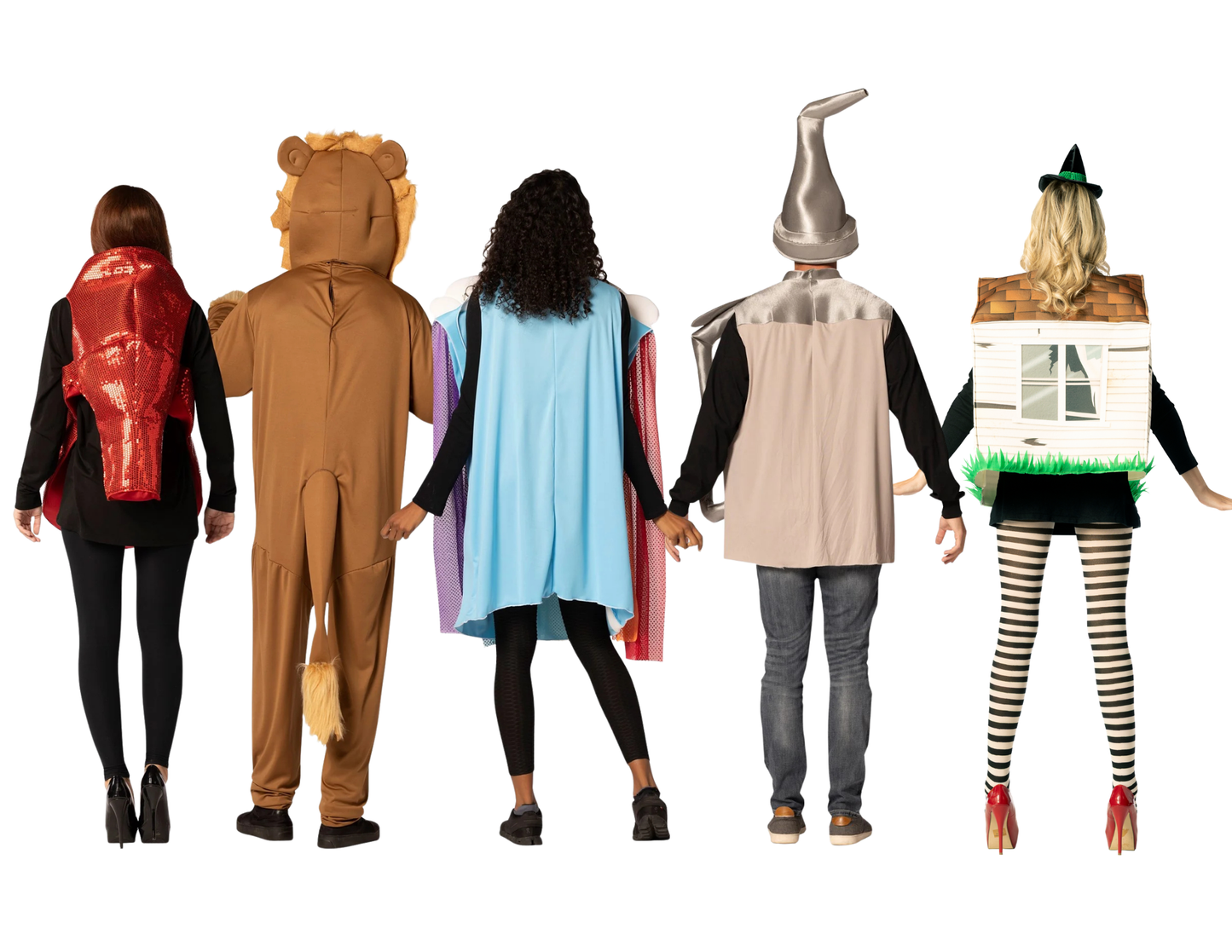Tornado House, Lion, Rainbow with Cloud, Oil Can, & Ruby Shoe Group Costume, One Size Fits Most Adults