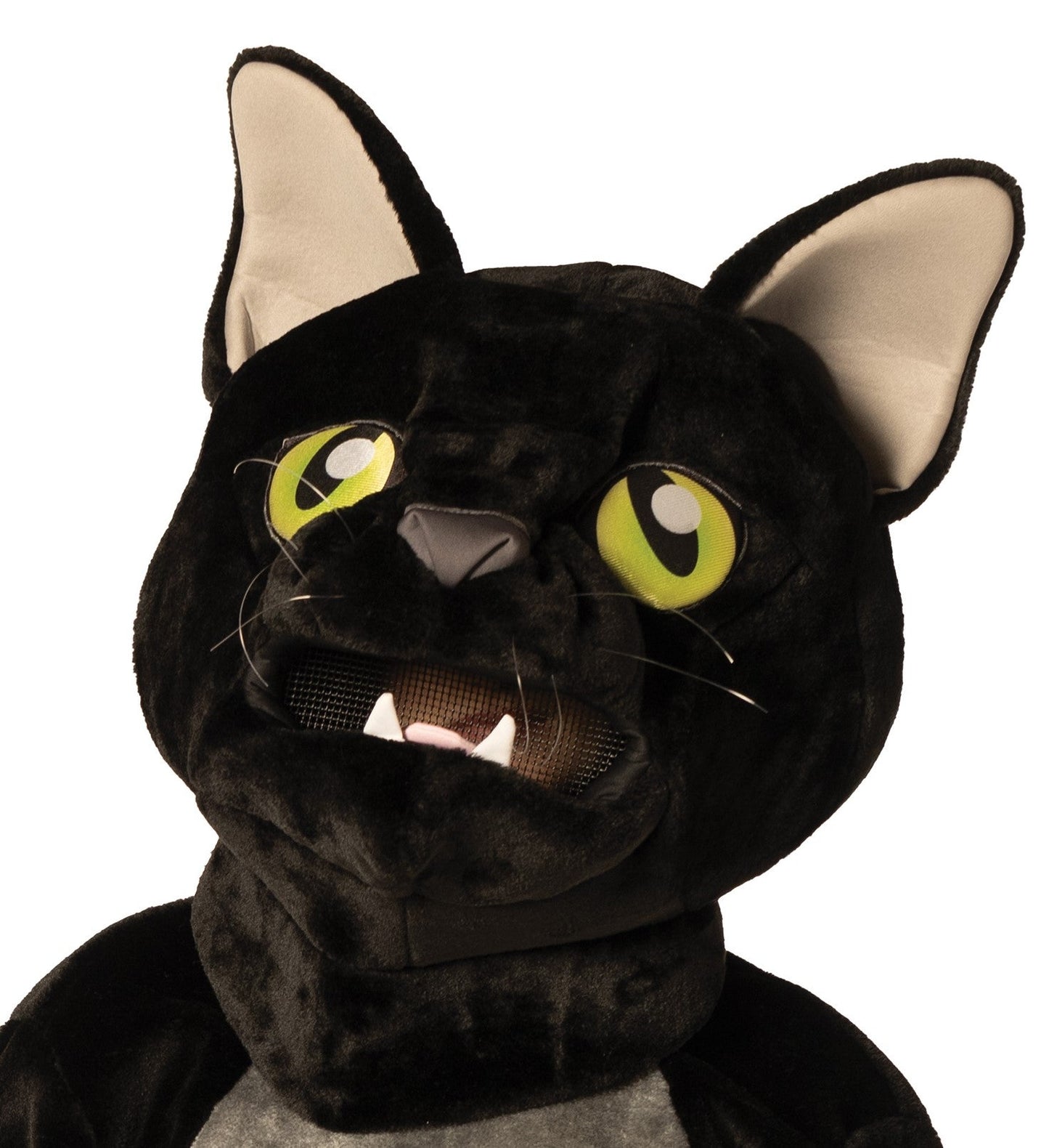 Black Cat Costume, Adult One Size