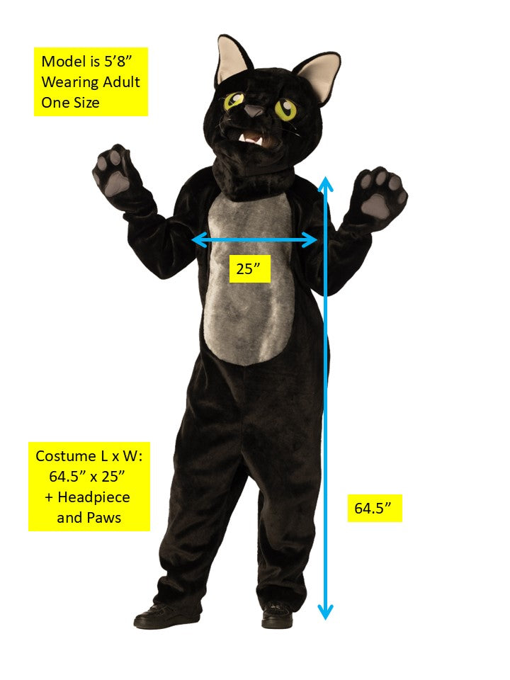 Black Cat Costume, Adult One Size