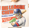 Big League Chew Gum Original Costume, Child Sizes 3-6 & 7-10
