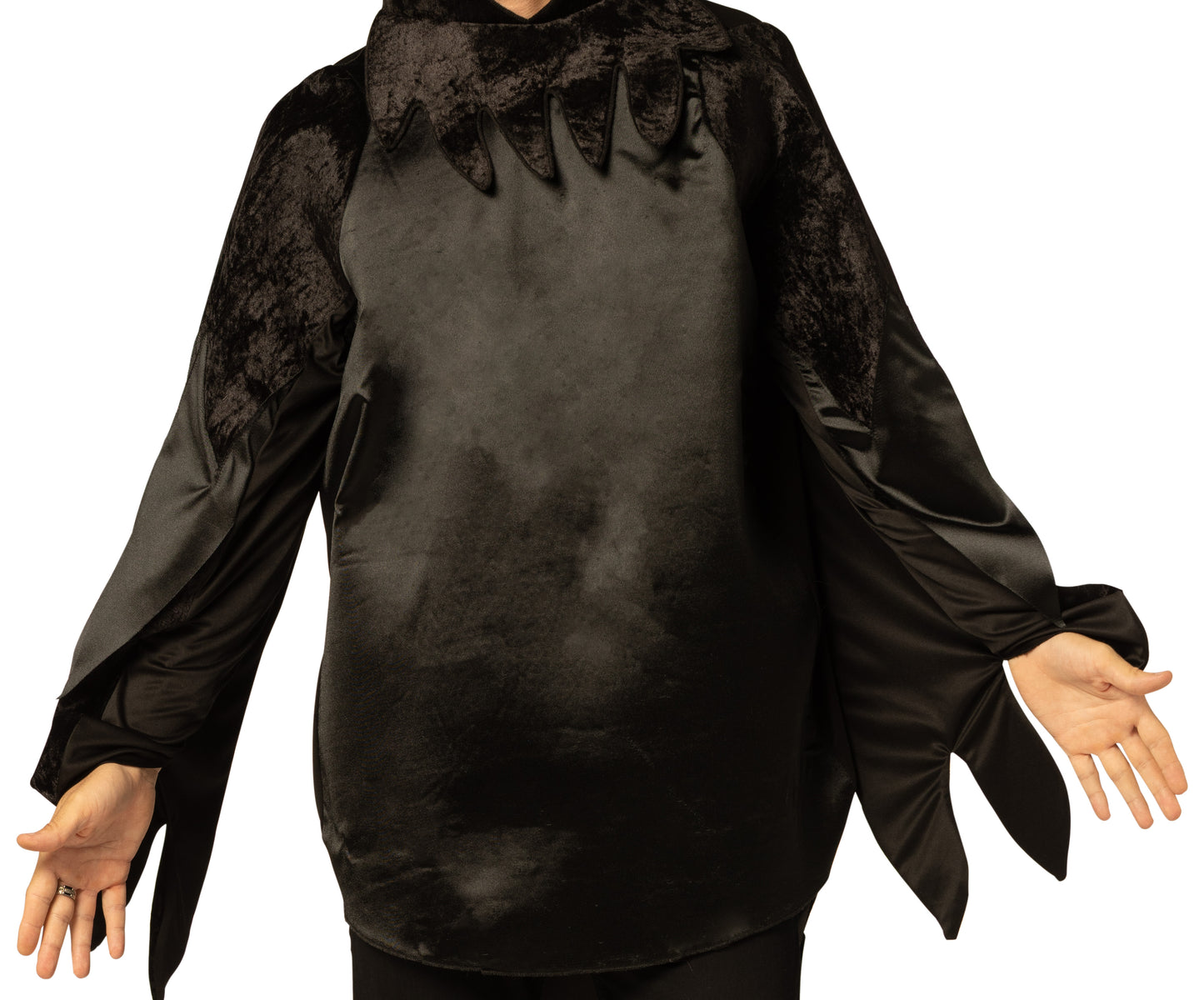 Raven Black Bird Costume, One Size Fits Most
