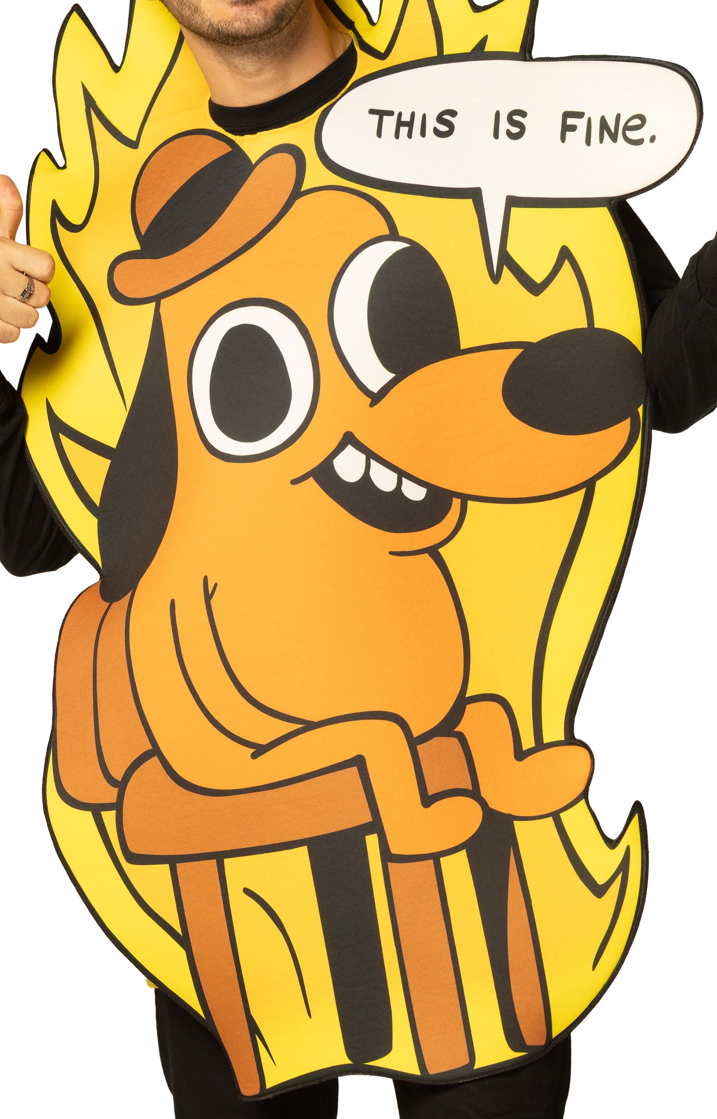 This is Fine Dog Costume, One Size Fits Most