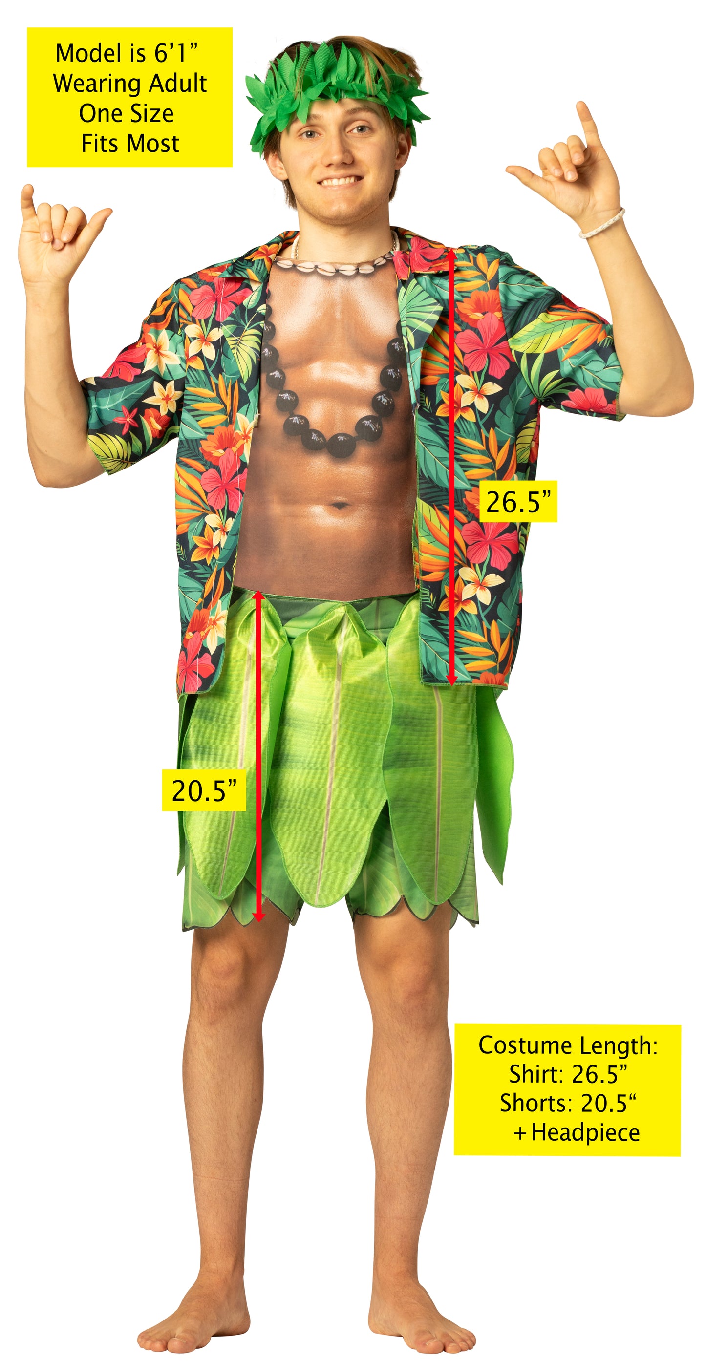 Hula Guy Costume, Men, Men's Adult One Size
