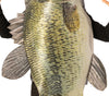 Sea Bass Fish Costume, One Size Fits Most