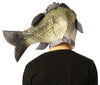 Sea Bass Fish Headpiece Costume Accessory, One Size Fits Most