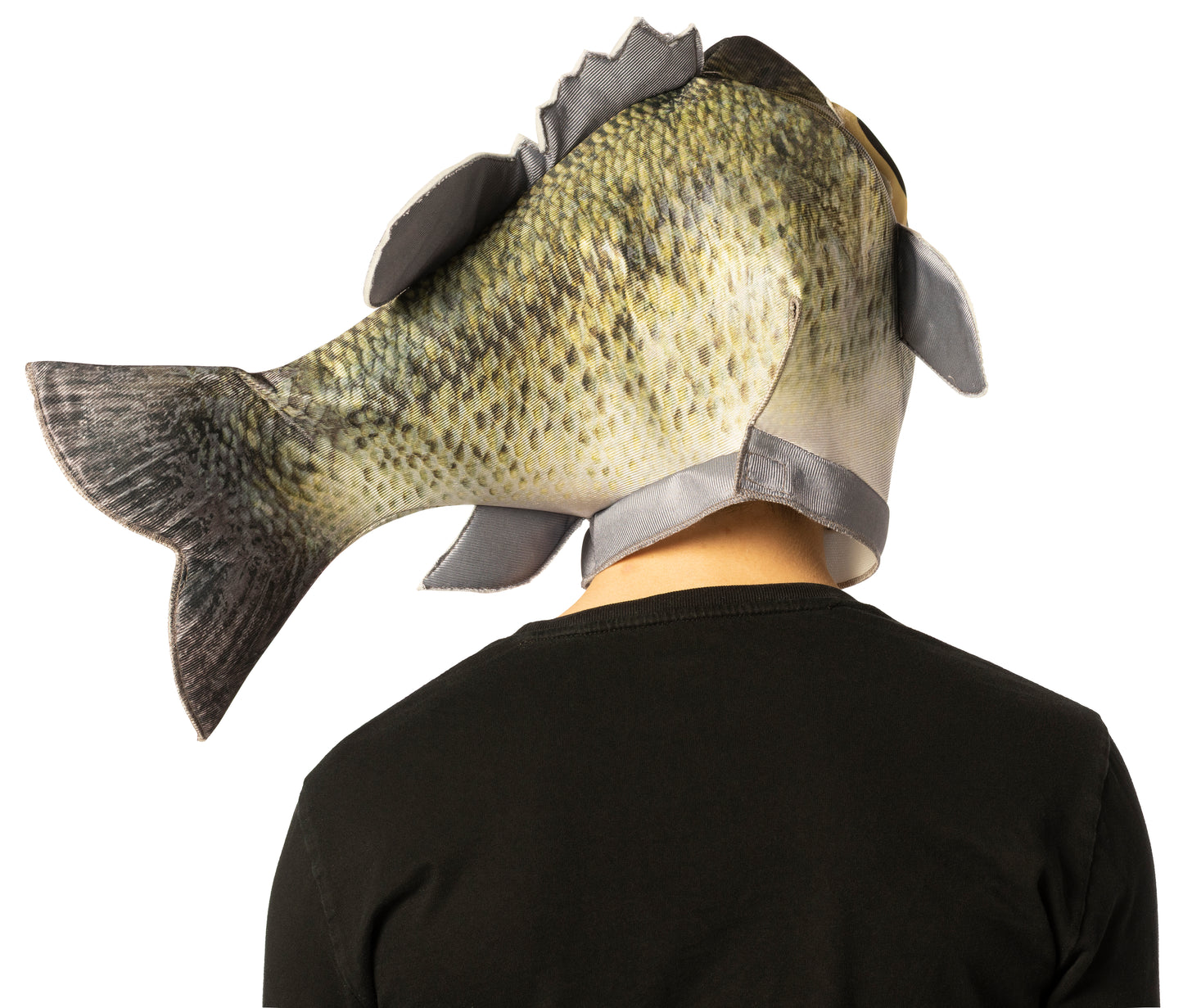Sea Bass Fish Headpiece Costume Accessory, One Size Fits Most