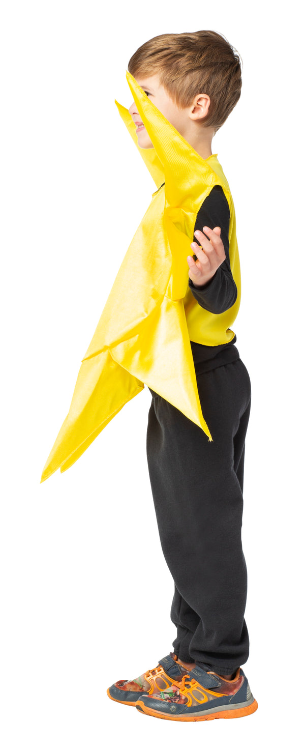 Storm Cloud and Sun Kids Bundle Costume, Child Size 4-6