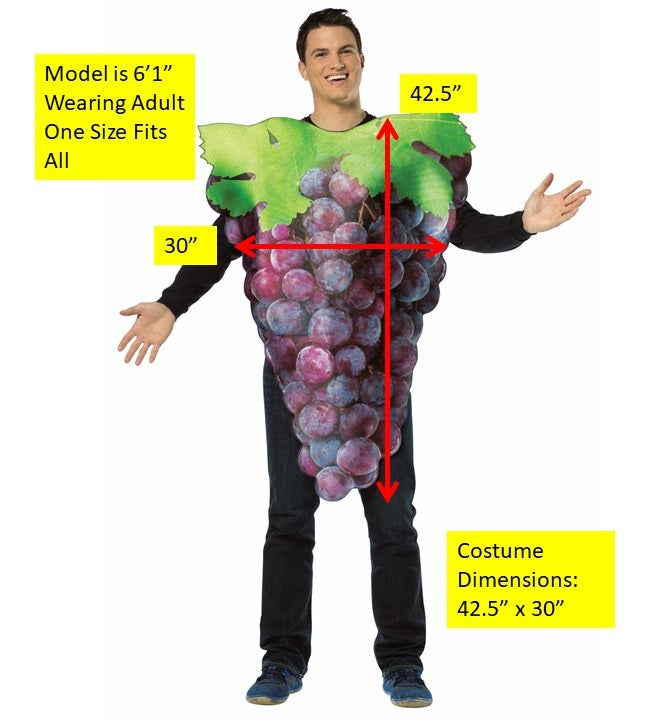 Grapes Costume, Adult One Size