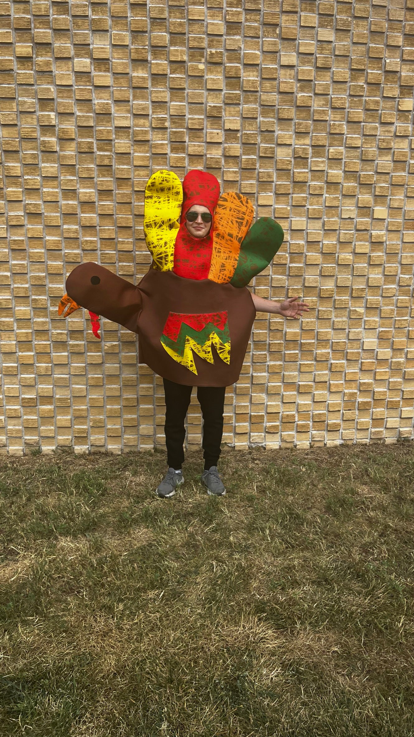Hand Thanksgiving Turkey Costume, Adult One Size