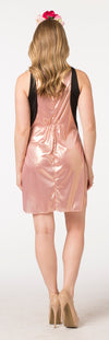 Wine Box Rose & Wine Rose` Dress Couples Costume, Adult One Size & Women's Size 4-10