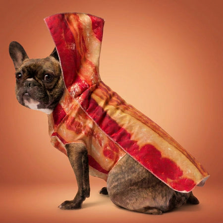 Dog Costumes