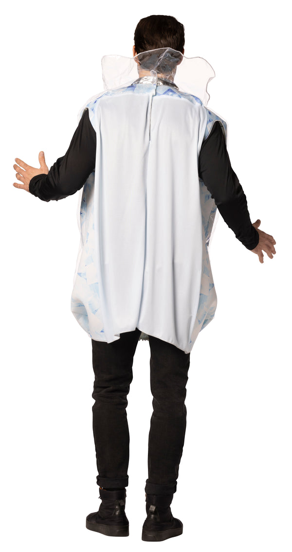 Packaged Ice Halloween Costume, Adult One Size
