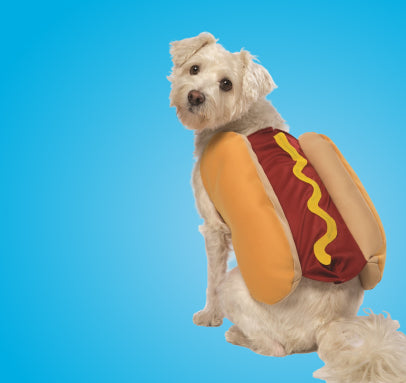 Fried Chicken Dog Costume Way To Celebrate Dog Way To Celebrate