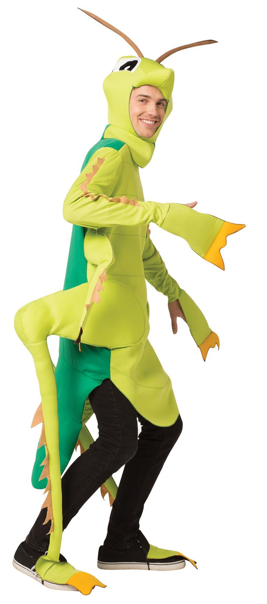 Green Grasshopper Costume, Adult One Size