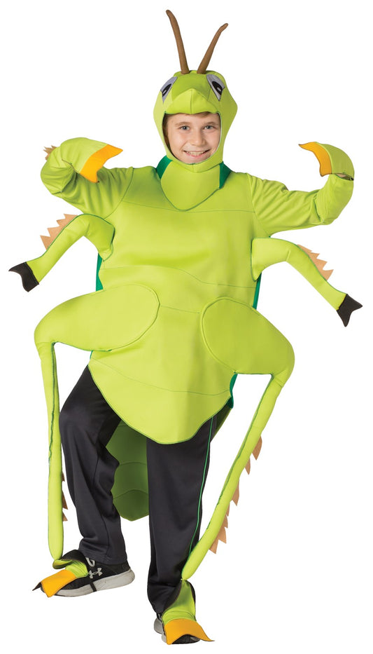 Child Green Grasshopper Costume, Child Size 7-10