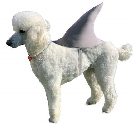 Great White Shark Fin Dog Pet Costume, Size XL