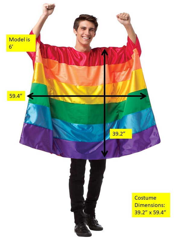 Rainbow Flag Pride Tunic Costume, Adult One Size