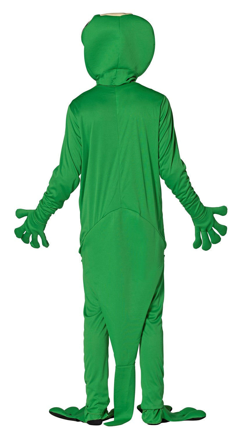 Gecko Costume, Adult One Size