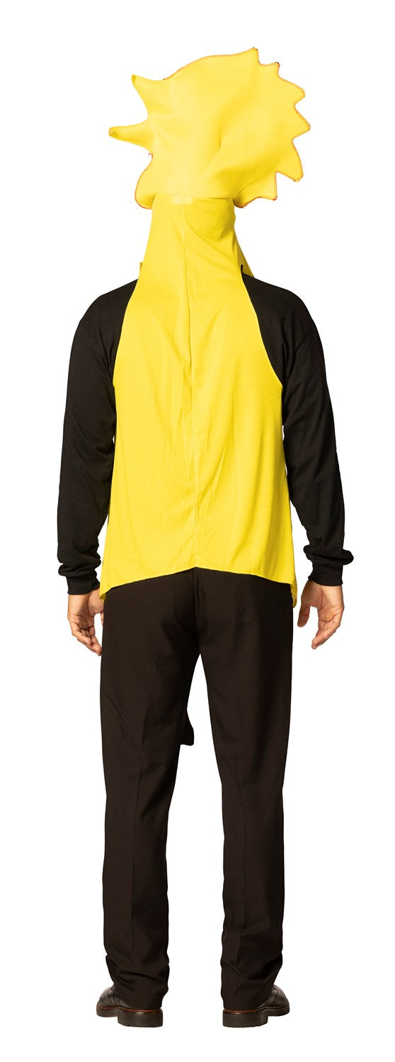 Chicken Halloween Costume, Adult One Size