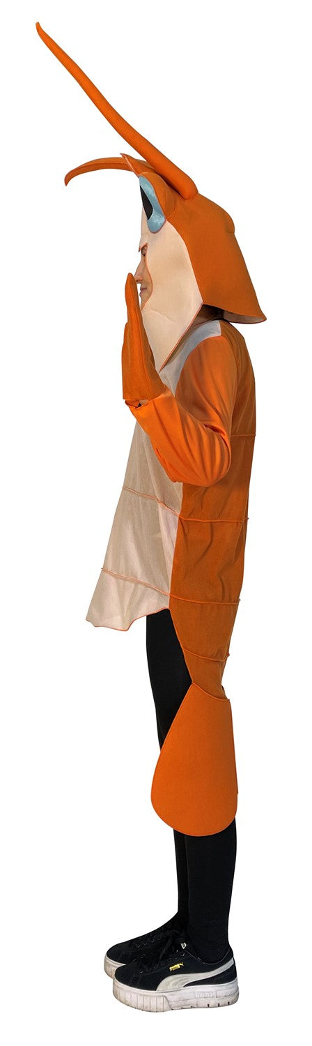 Shrimp Costume, Teen Size 14-16