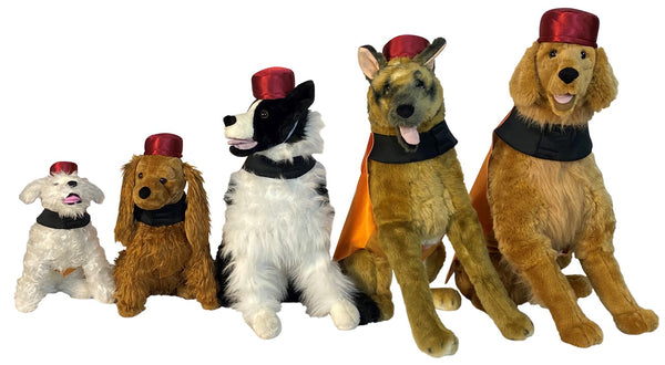 Fireball Bottle Dog Halloween Costume, Size 2X-3X
