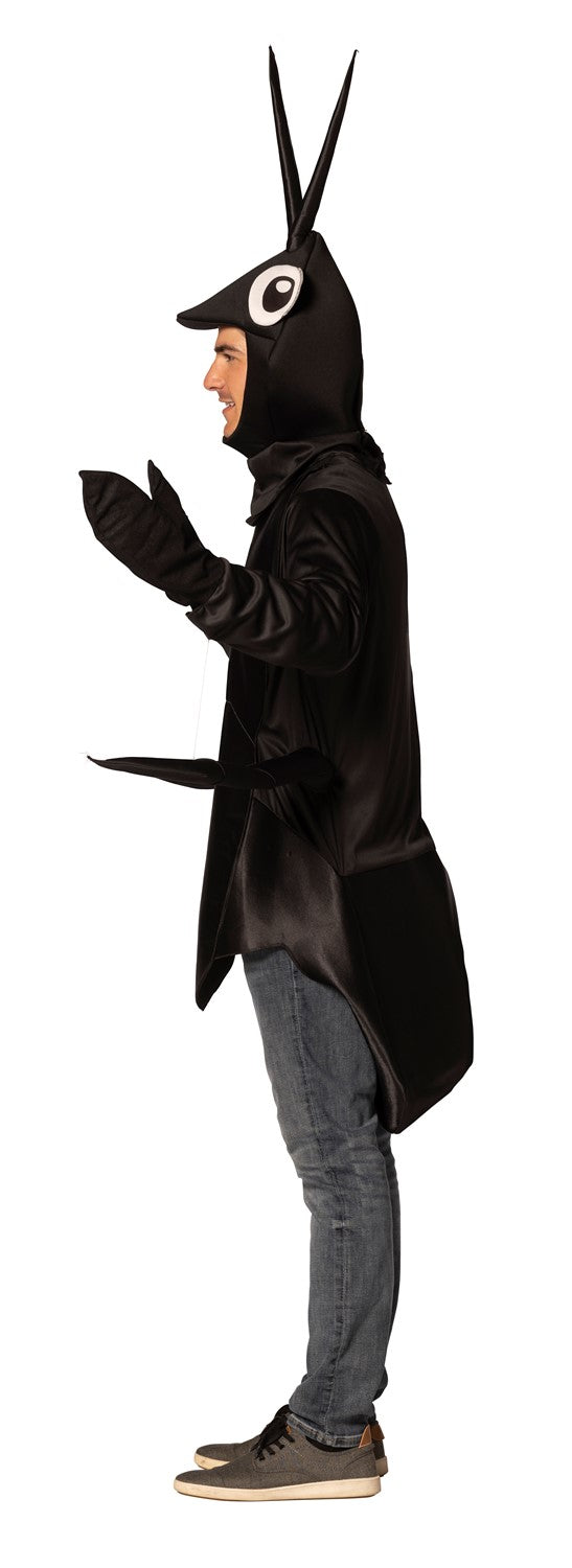 Ant Halloween Costume, Adult One Size