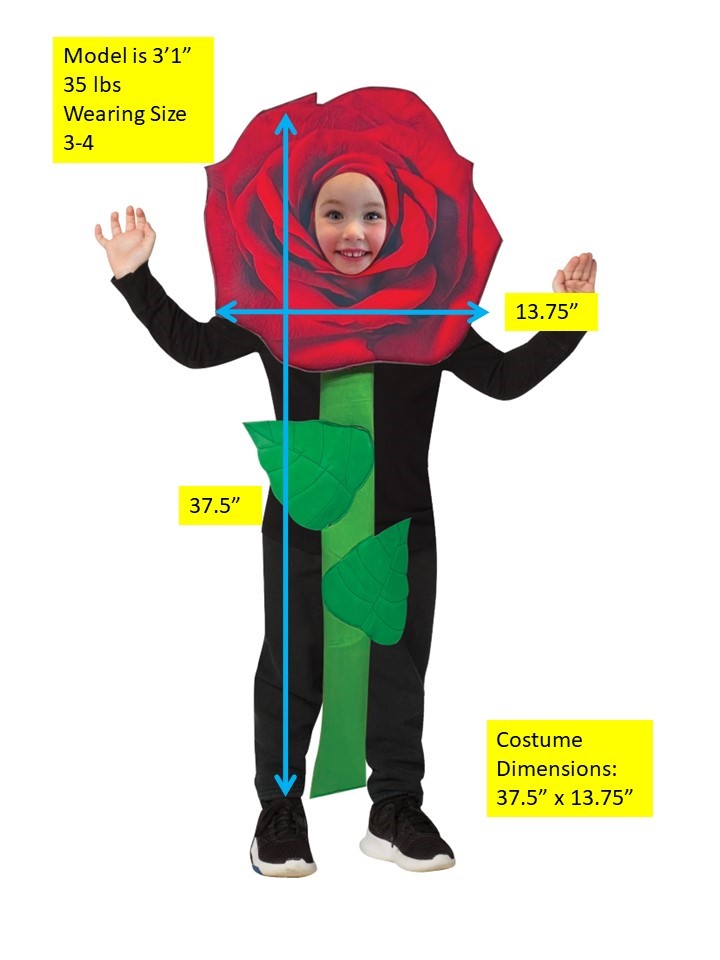 Red Rose Flower Costume, Child Size 3-6