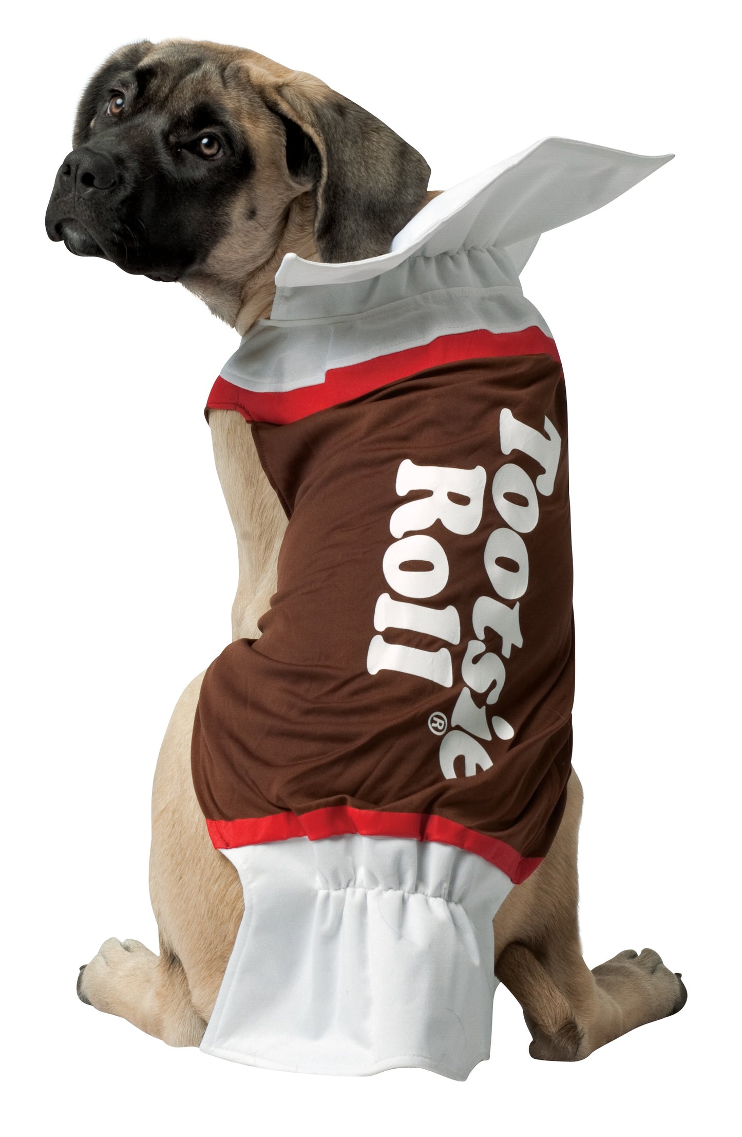 Tootsie Roll Dog Pet Costume, Various Sizes